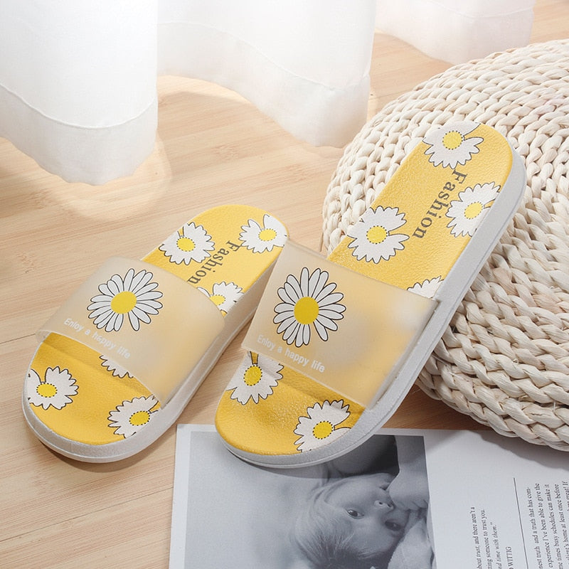 DAISY SLIDES